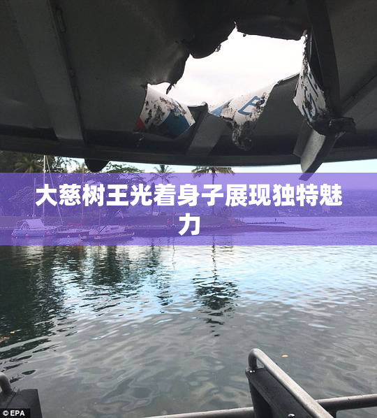 大慈树王光着身子展现独特魅力