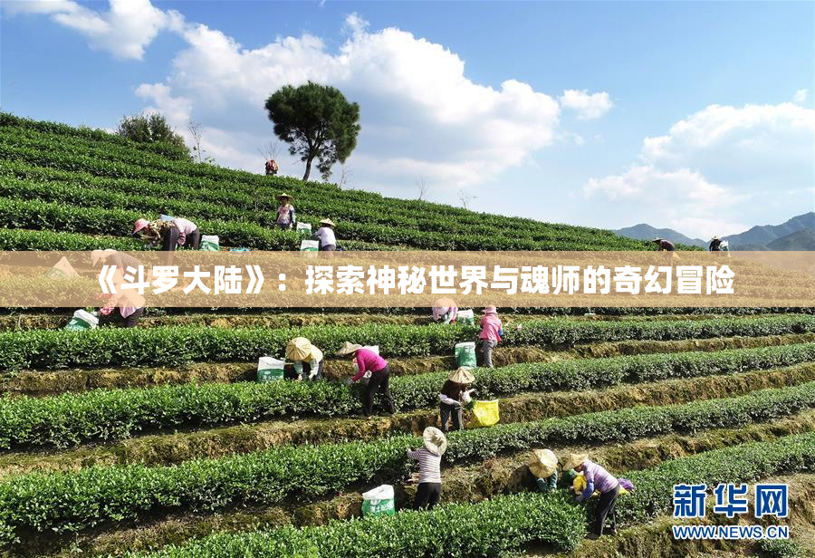 《斗罗大陆》：探索神秘世界与魂师的奇幻冒险