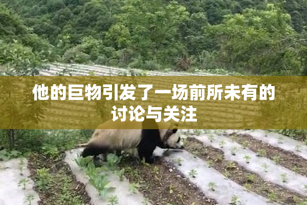 他的巨物引发了一场前所未有的讨论与关注