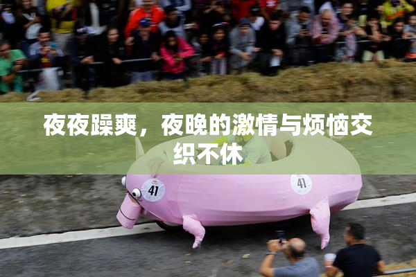 夜夜躁爽，夜晚的激情与烦恼交织不休
