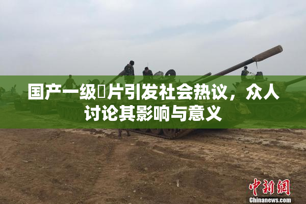 国产一级婬片引发社会热议，众人讨论其影响与意义