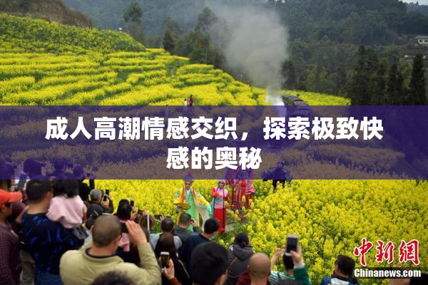 成人高潮情感交织，探索极致快感的奥秘