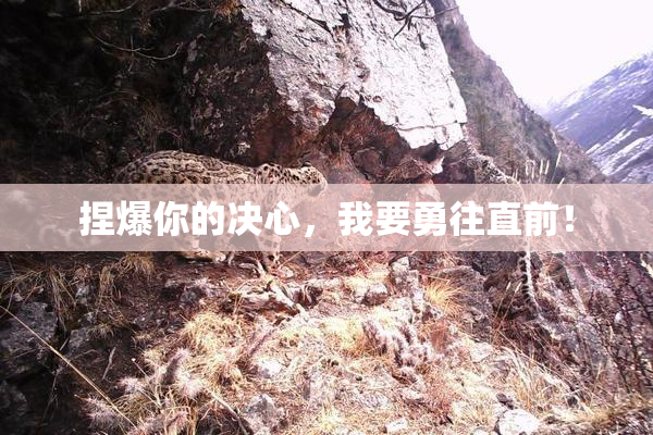 捏爆你的决心，我要勇往直前！