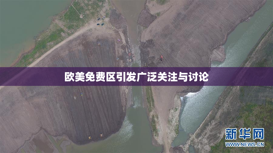 欧美免费区引发广泛关注与讨论