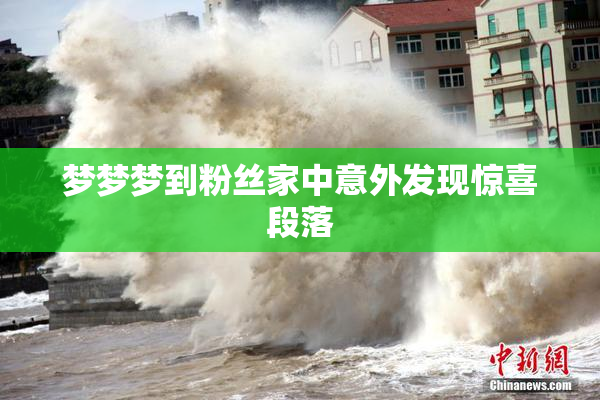 梦梦梦到粉丝家中意外发现惊喜段落