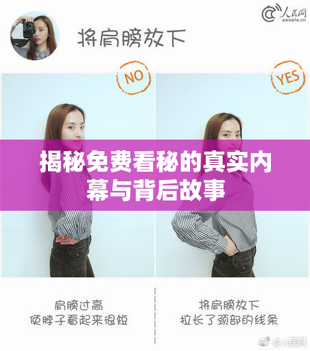 揭秘免费看秘的真实内幕与背后故事
