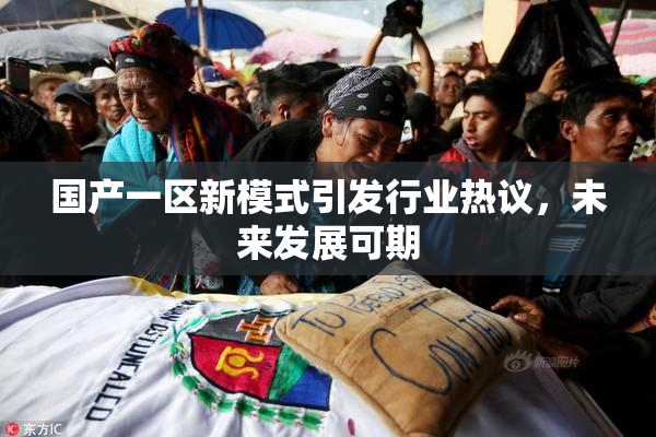 国产一区新模式引发行业热议，未来发展可期