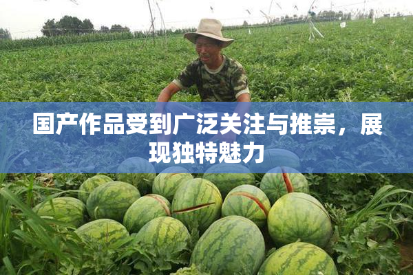 国产作品受到广泛关注与推崇，展现独特魅力