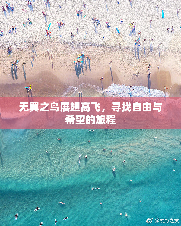 无翼之鸟展翅高飞，寻找自由与希望的旅程