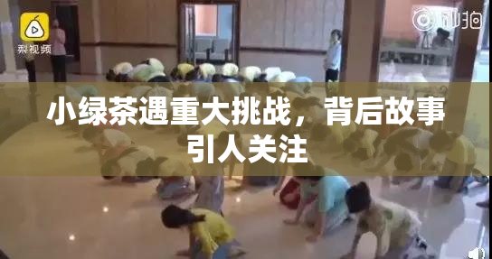 小绿茶遇重大挑战，背后故事引人关注