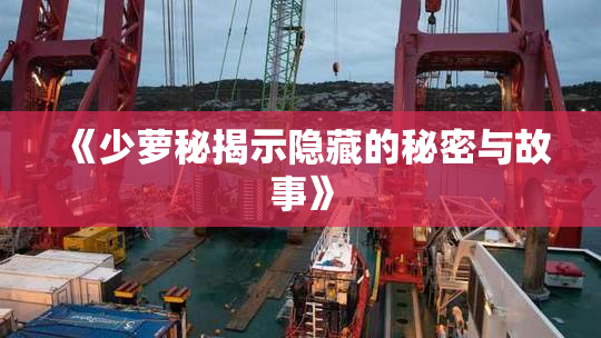 《少萝秘揭示隐藏的秘密与故事》
