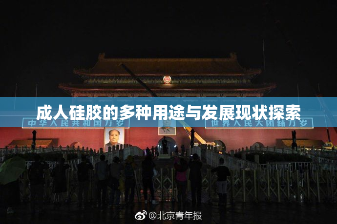 成人硅胶的多种用途与发展现状探索