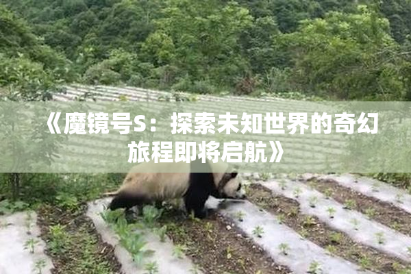 《魔镜号S：探索未知世界的奇幻旅程即将启航》