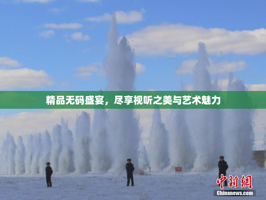 精品无码盛宴，尽享视听之美与艺术魅力
