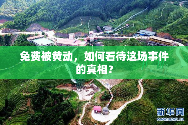免费被黄动，如何看待这场事件的真相？