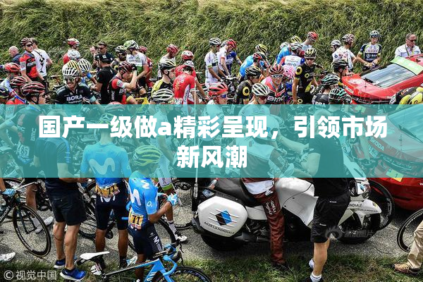 国产一级做a精彩呈现，引领市场新风潮