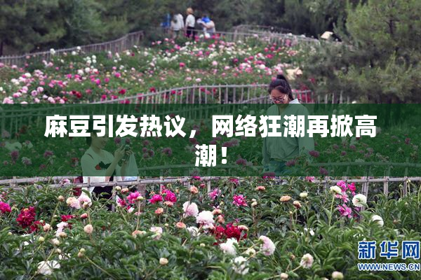 麻豆引发热议，网络狂潮再掀高潮！