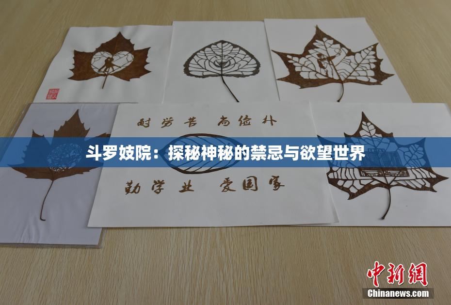斗罗妓院：探秘神秘的禁忌与欲望世界