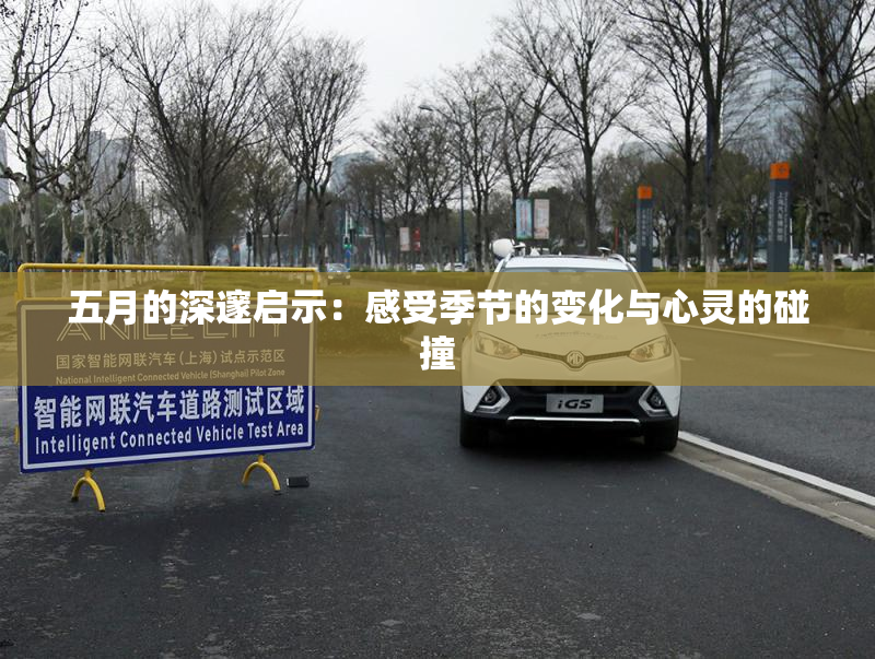 五月的深邃启示：感受季节的变化与心灵的碰撞