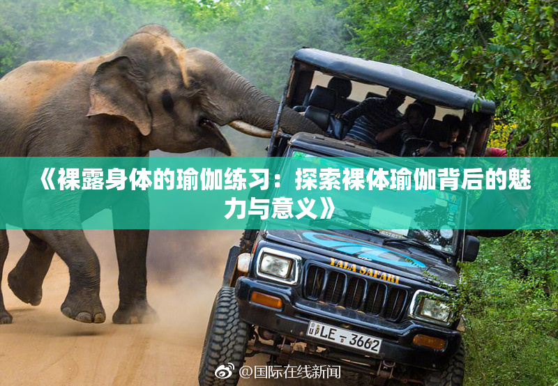 《裸露身体的瑜伽练习：探索裸体瑜伽背后的魅力与意义》