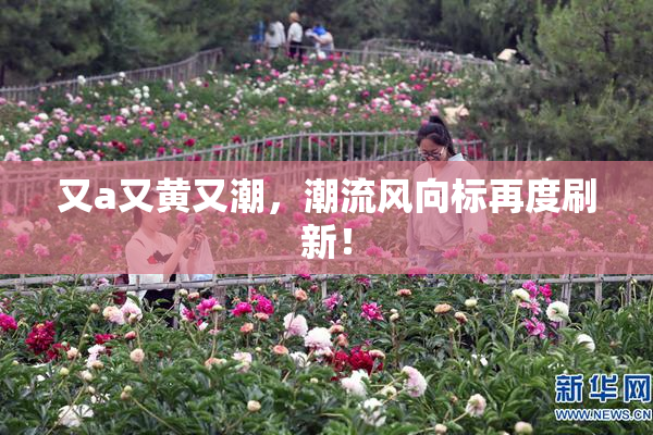 又a又黄又潮，潮流风向标再度刷新！