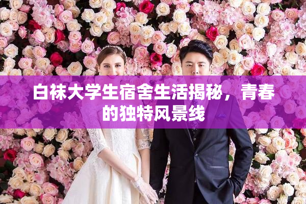 白袜大学生宿舍生活揭秘，青春的独特风景线
