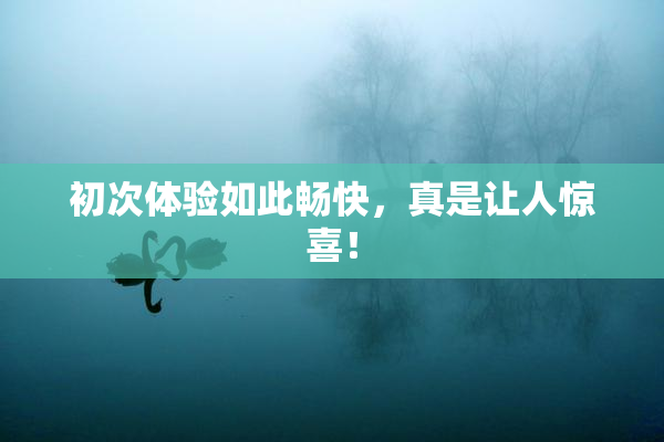 初次体验如此畅快，真是让人惊喜！