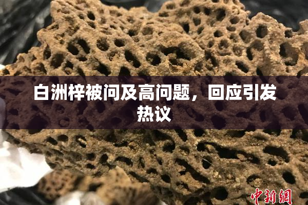 白洲梓被问及高问题，回应引发热议