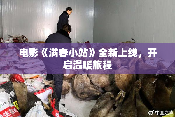 电影《满春小站》全新上线，开启温暖旅程