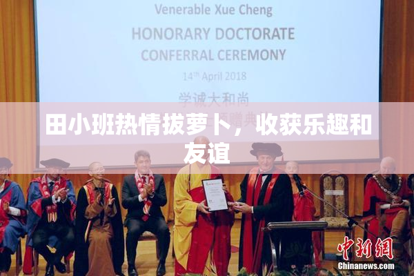 田小班热情拔萝卜，收获乐趣和友谊