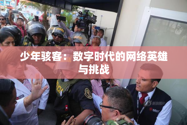 少年骇客：数字时代的网络英雄与挑战