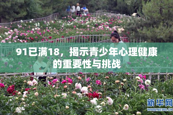 91已满18，揭示青少年心理健康的重要性与挑战