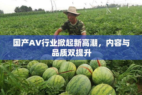 国产AV行业掀起新高潮，内容与品质双提升