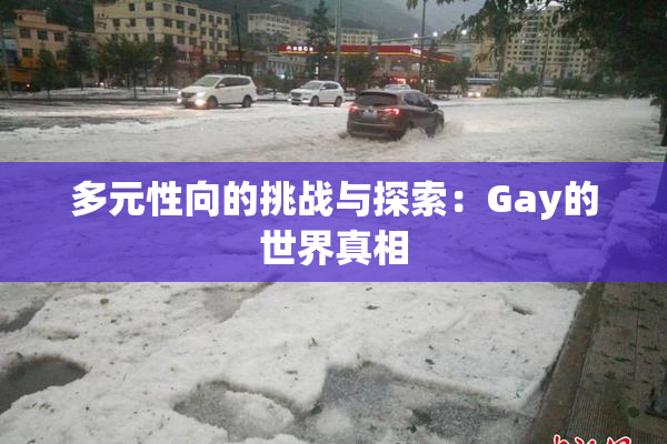 多元性向的挑战与探索：Gay的世界真相