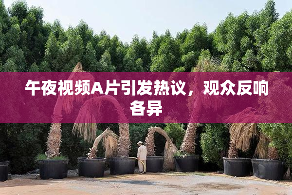 午夜视频A片引发热议，观众反响各异