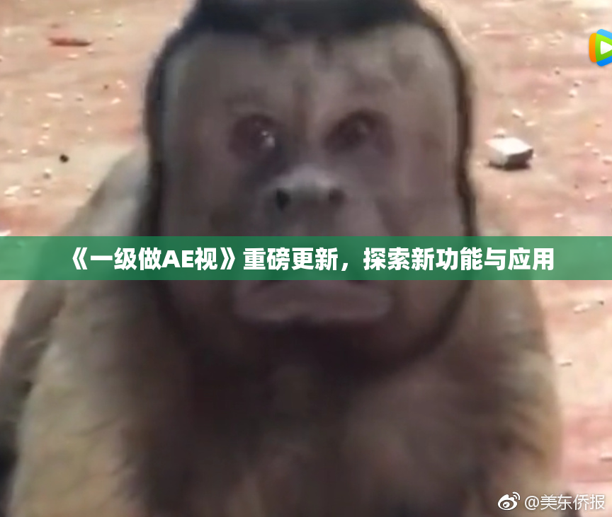 《一级做AE视》重磅更新，探索新功能与应用