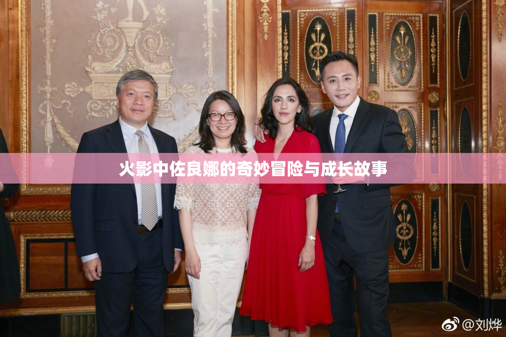 火影中佐良娜的奇妙冒险与成长故事