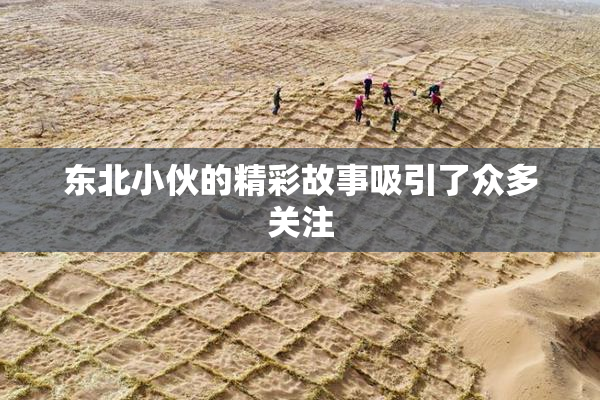 东北小伙的精彩故事吸引了众多关注