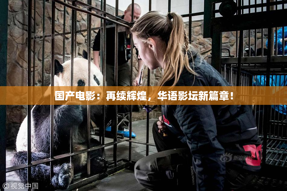 国产电影：再续辉煌，华语影坛新篇章！