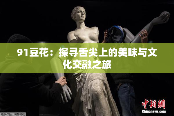 91豆花：探寻舌尖上的美味与文化交融之旅