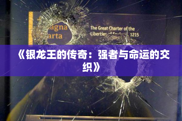 《银龙王的传奇：强者与命运的交织》