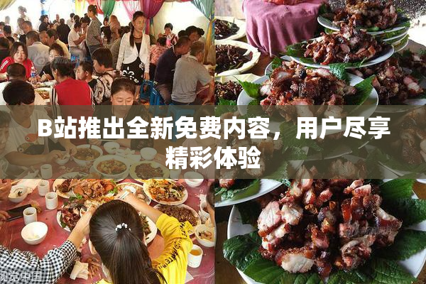 B站推出全新免费内容，用户尽享精彩体验