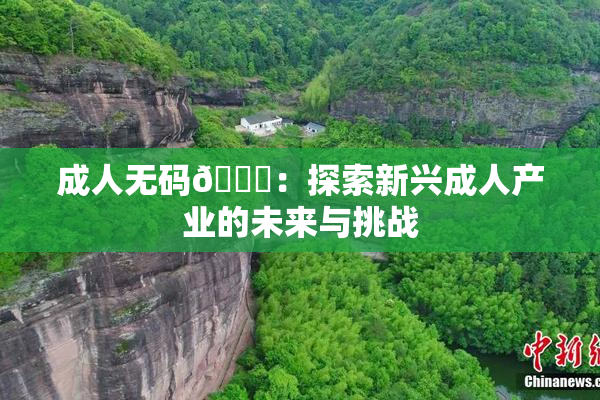 成人无码🔞：探索新兴成人产业的未来与挑战