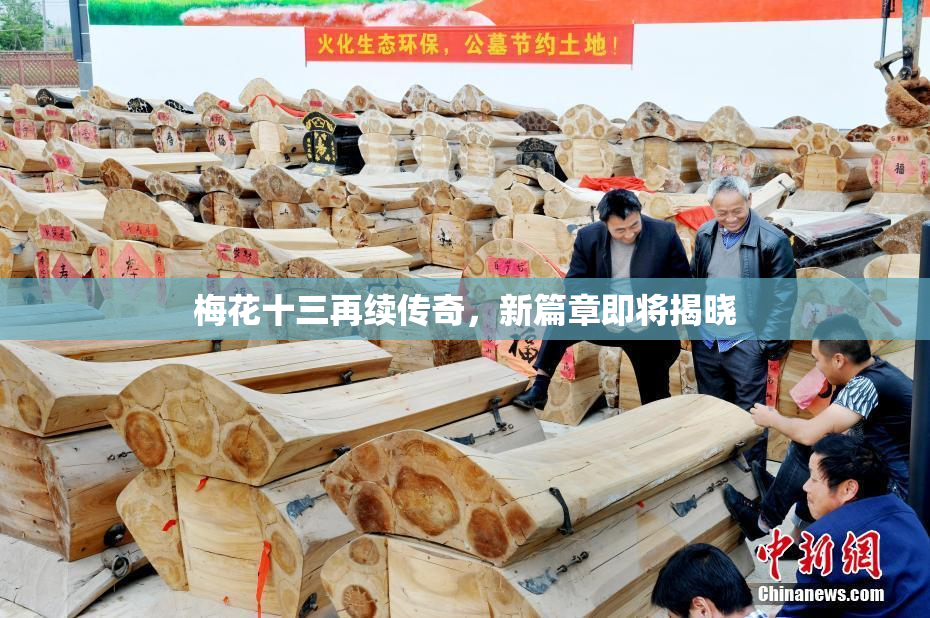 梅花十三再续传奇，新篇章即将揭晓