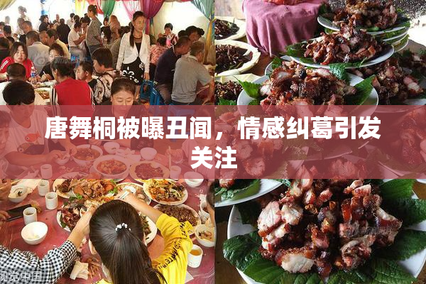 唐舞桐被曝丑闻，情感纠葛引发关注