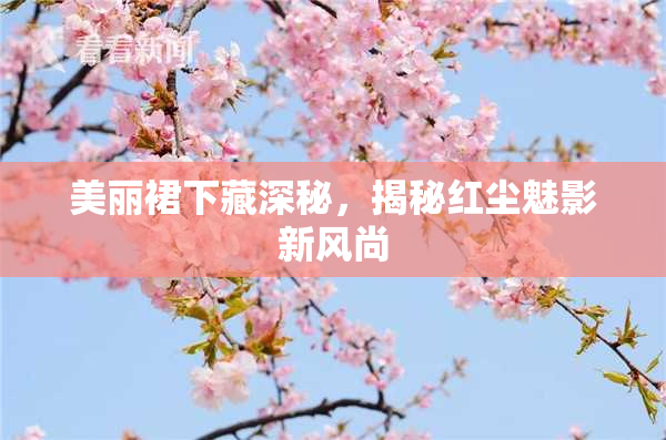 美丽裙下藏深秘，揭秘红尘魅影新风尚