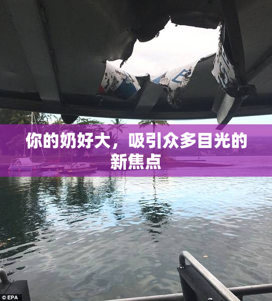 你的奶好大，吸引众多目光的新焦点