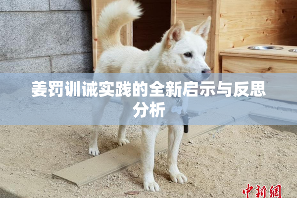 姜罚训诫实践的全新启示与反思分析