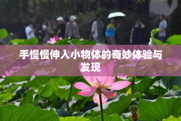 手慢慢伸入小物体的奇妙体验与发现