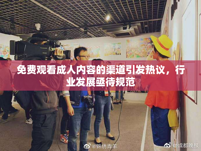 免费观看成人内容的渠道引发热议，行业发展亟待规范